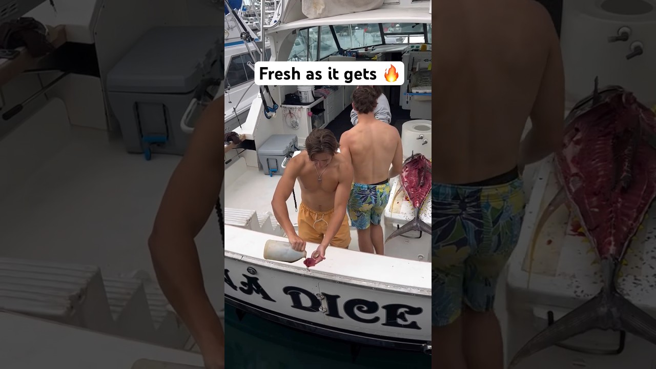 🔥 not sure why he poured menhaden oil on it tho #fish #tuna #outdoors #fishing #boat #shorts #sushi