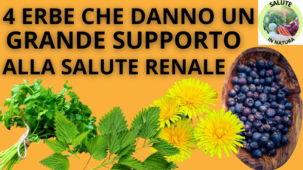 4 ERBE POTENTI PER DISINTOSSICARE I RENI E MIGLIORARE LA FUNZIONALITA RENALE