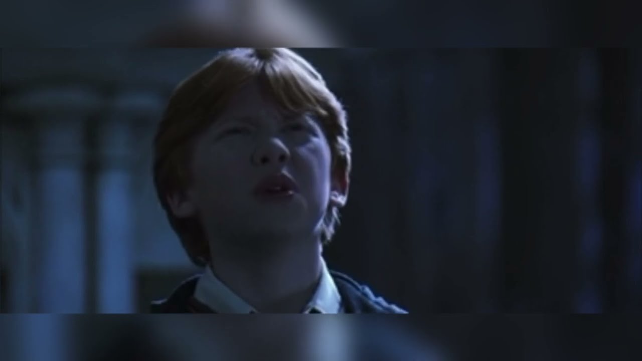Funniest Ron Weasley Moments (All Harry Potter Films)
