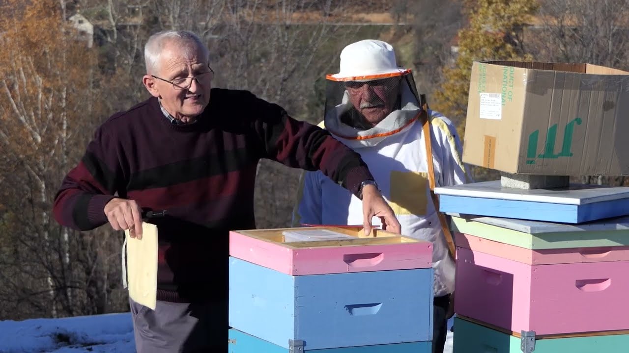 Domaćine kako radiš 27.11.2024. Pčelarstvo tokom zime, Radan Pavlović, Radovan Žeravica