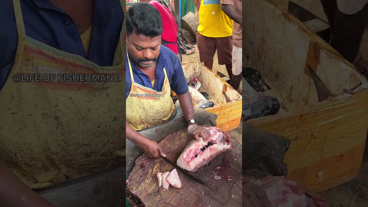 KASIMEDU🔥SPEEDSELVAM TREVALLY FISH CUTTING VIDEO#speedselvamcutting #kasimeduspeedselvam #ytshorts
