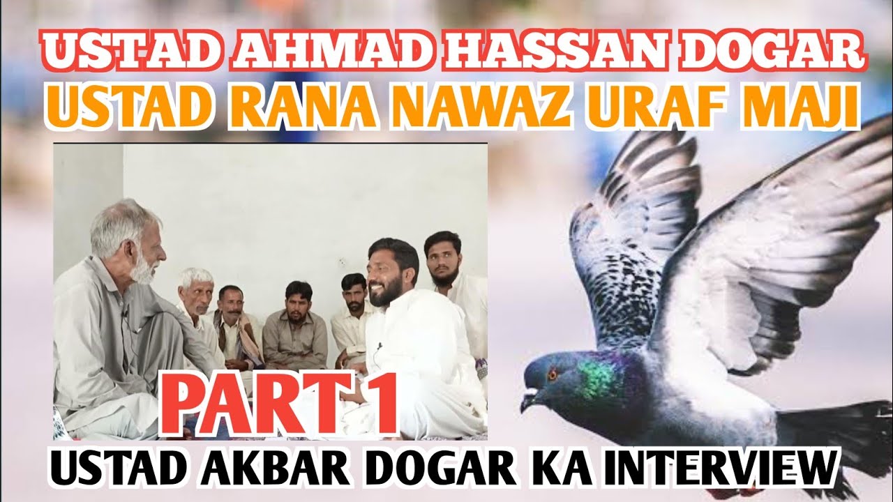 IK SHONK KABOTAR BAAZI DA INTERVIEW|| USTAD AHMAD HASSAN DOGAR|| USTAD RANA MAJI|| USTAD AKBAR DOGAR