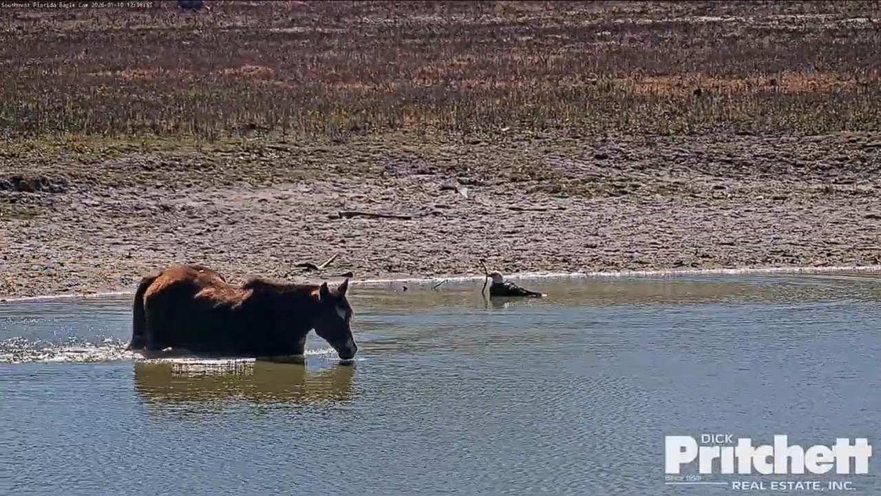 M15 Has Company During His Bath Time (Dick Pritchett Real Estate)
