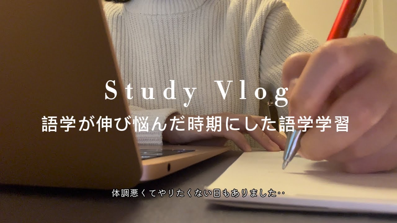 語学が伸び悩んだ時期にした語学学習