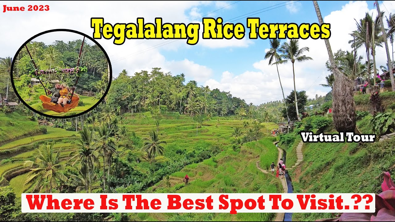 Virtual Tour...!!! The Best Spot To Visit Tegelalang Rice Terraces..!!! Things To Do In Ubud Bali