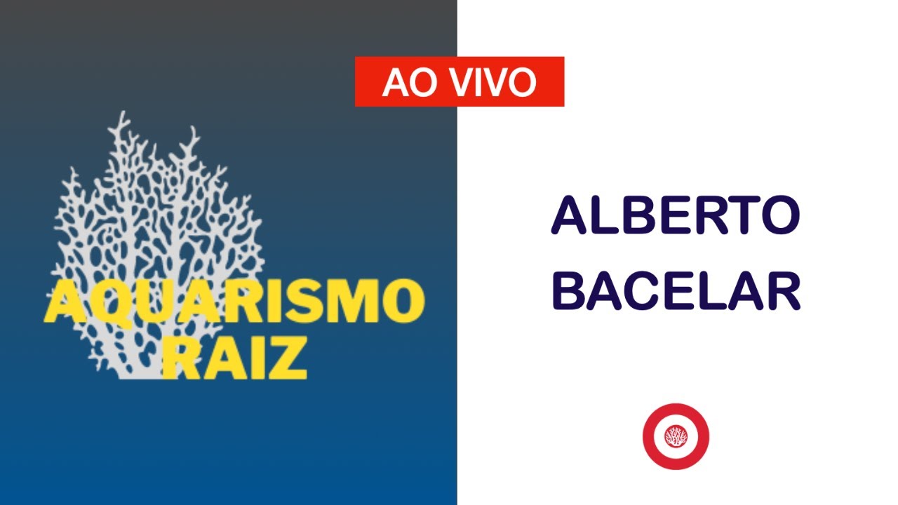 Bate Papo AQUARISMO RAIZ com ALBERTO BACELAR