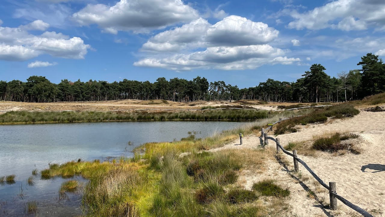Wandelen op de Utrechtse Heuvelrug - Van Maarn naar Driebergen