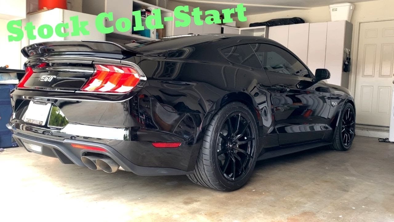 COLD START Stock 2019 Mustang GT (Without Active Exhaust)