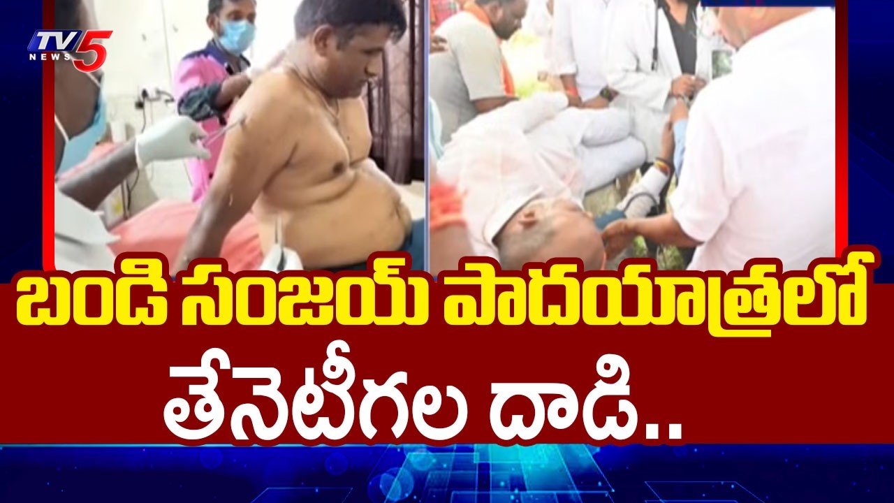 బండి సంజయ్ పాదయాత్రలో..Bee Attack During Union Minister Bandi Sanjay's Padayatra At Kondagattu | TV5