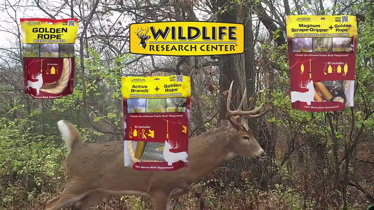 Ultimate Trophy Buck Playground Tools