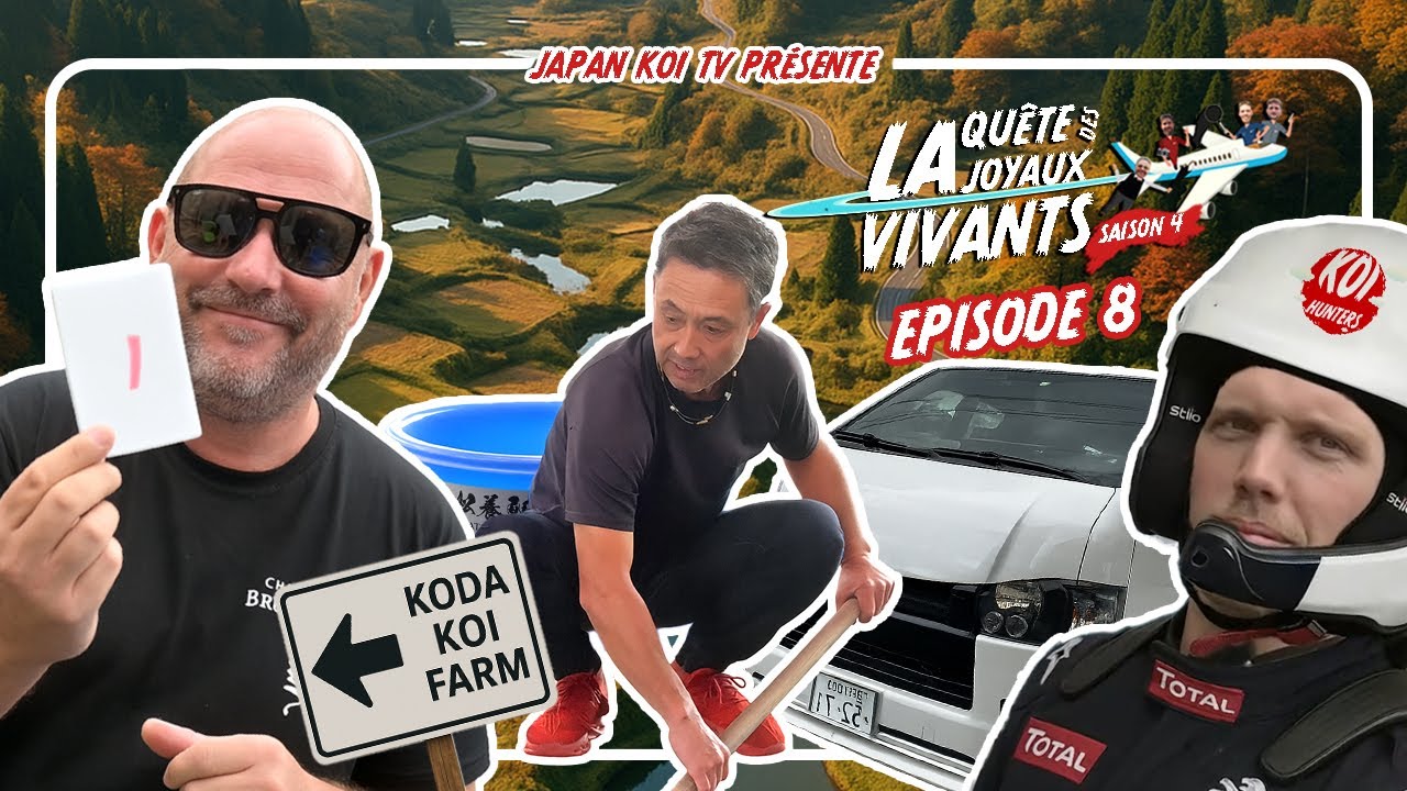 La PRESSION monte au JAPON 🤯 🐟 🇯🇵 - Koi Hunters • Ep 8