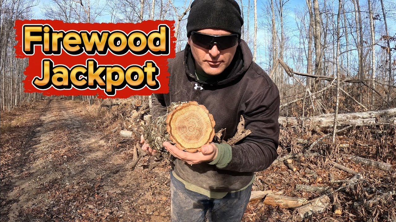 I Hit the Firewood Jackpot