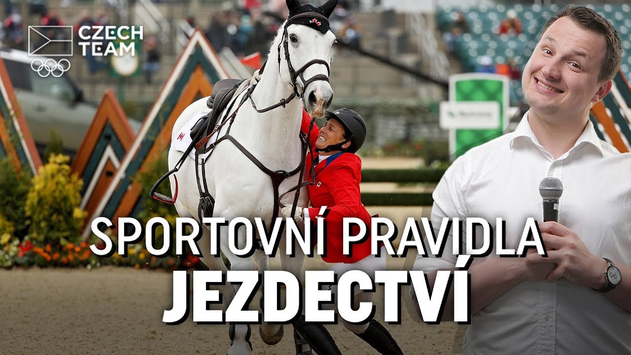 Krásná rovnováha mezi koněm a jezdcem | Pravidla jezdectví