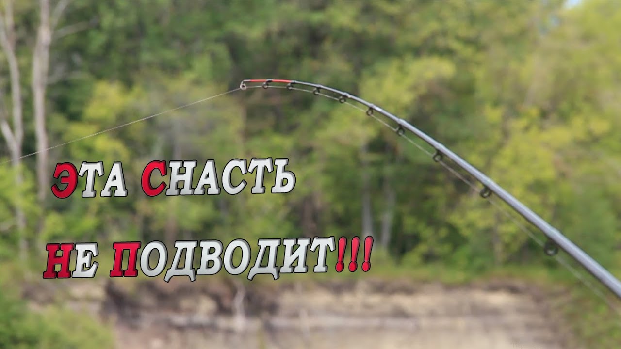 Мешок леща на фидер! ЛЕЩ на фидер! Поклёвки крупным планом! Рыбалка на леща!Feeder fishing