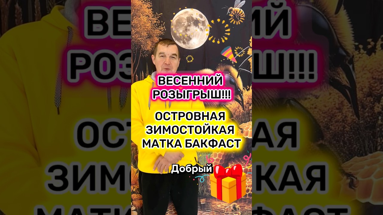 Розыгрыш островной зимостойкой матки Бакфаст