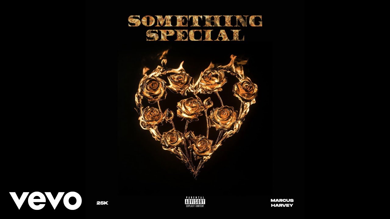 25K - Something Special (Official Audio) ft. Marcus Harvey
