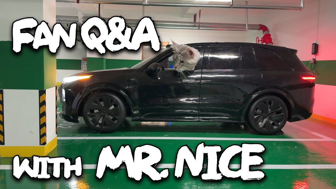 Q&A with Mr. Nice - Behind the Scenes at Xing's World Pt 1