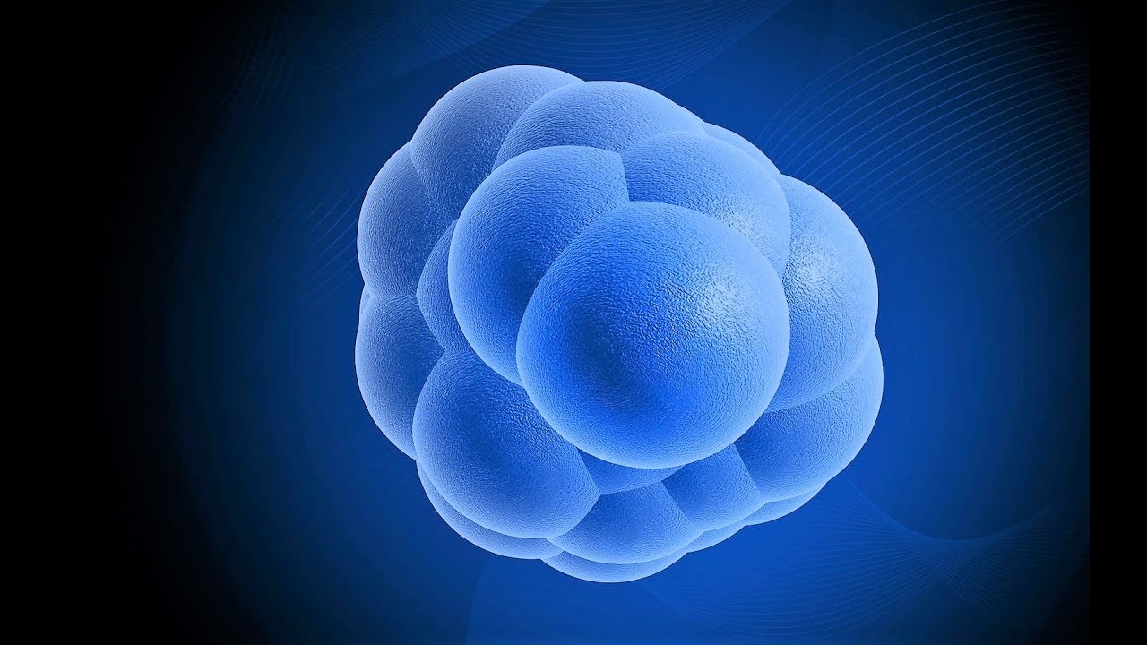 Stem Cells for TBI