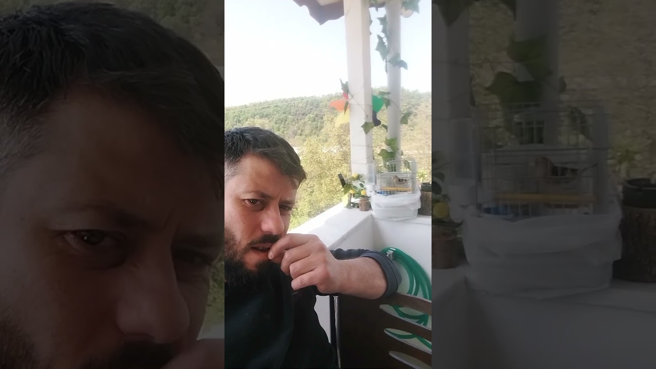 Balkon keyfi saka melezi dik ötüm