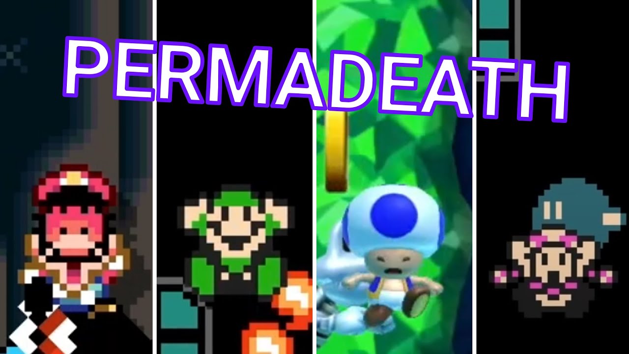 The INSANE RUN that COULD HAVE Went the Distance — Mario Maker 2 NUZLOCKE Challenge