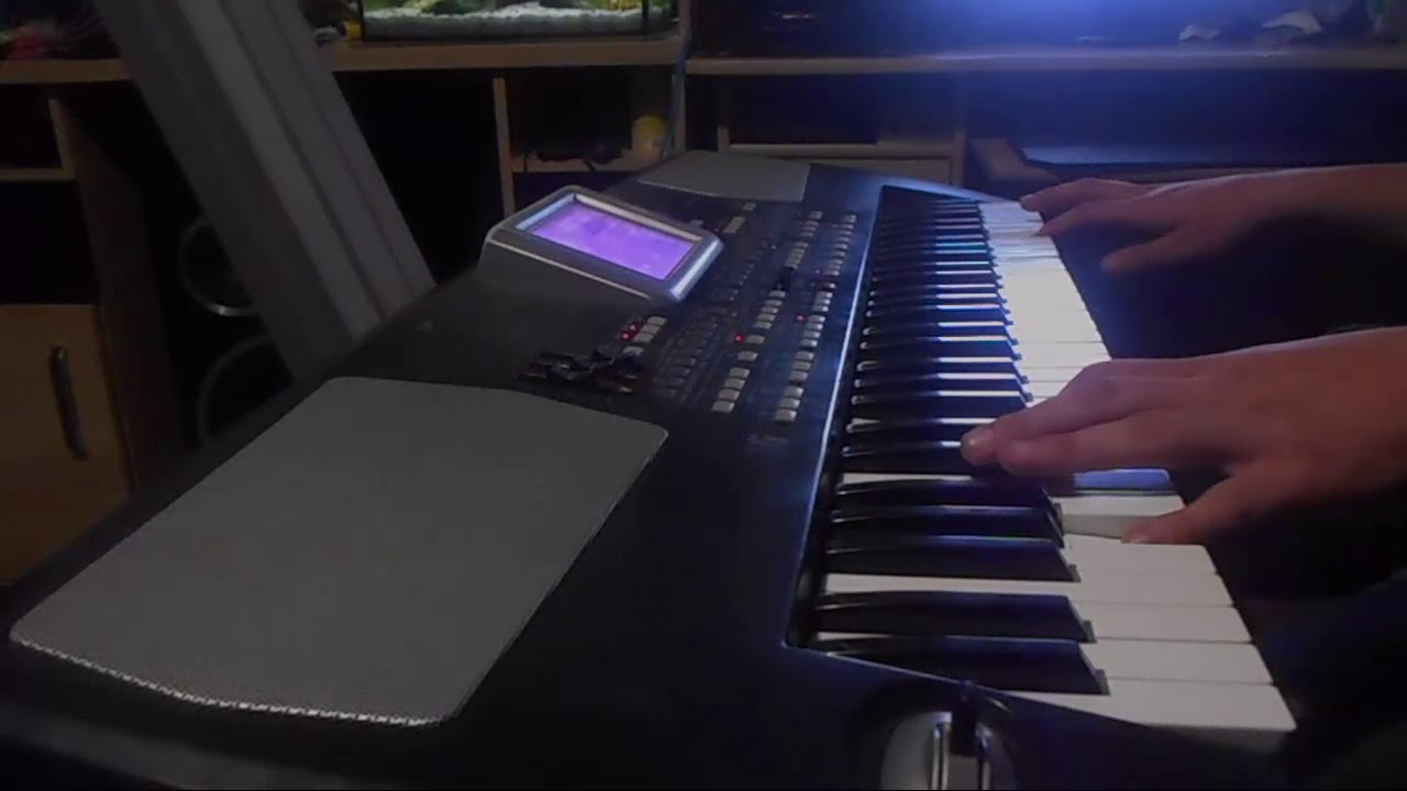 BOYS - WOLNOŚĆ 2017 KEYBOARD KORG PA500