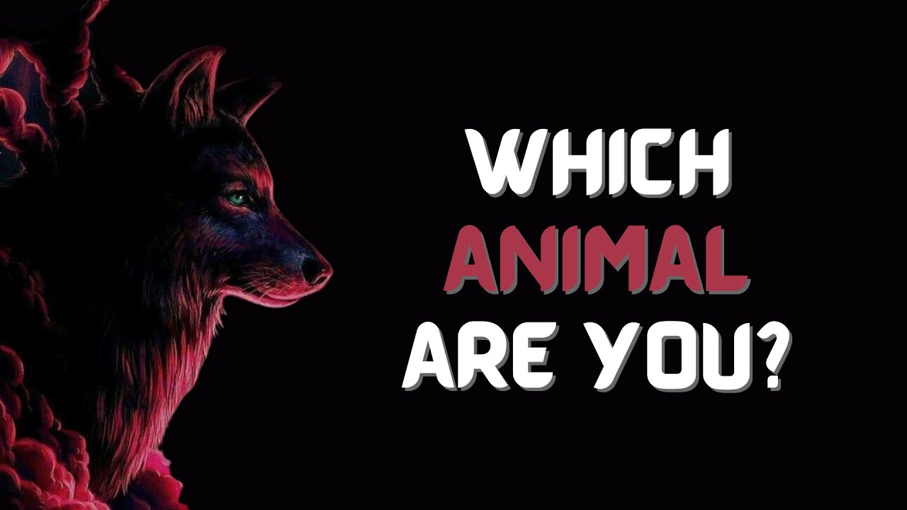 WHICH ANIMAL ARE YOU? (Personality test)