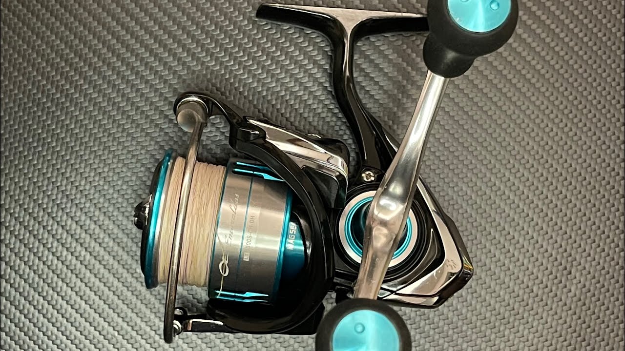 DAIWA EMERALDAS LT SERVICING