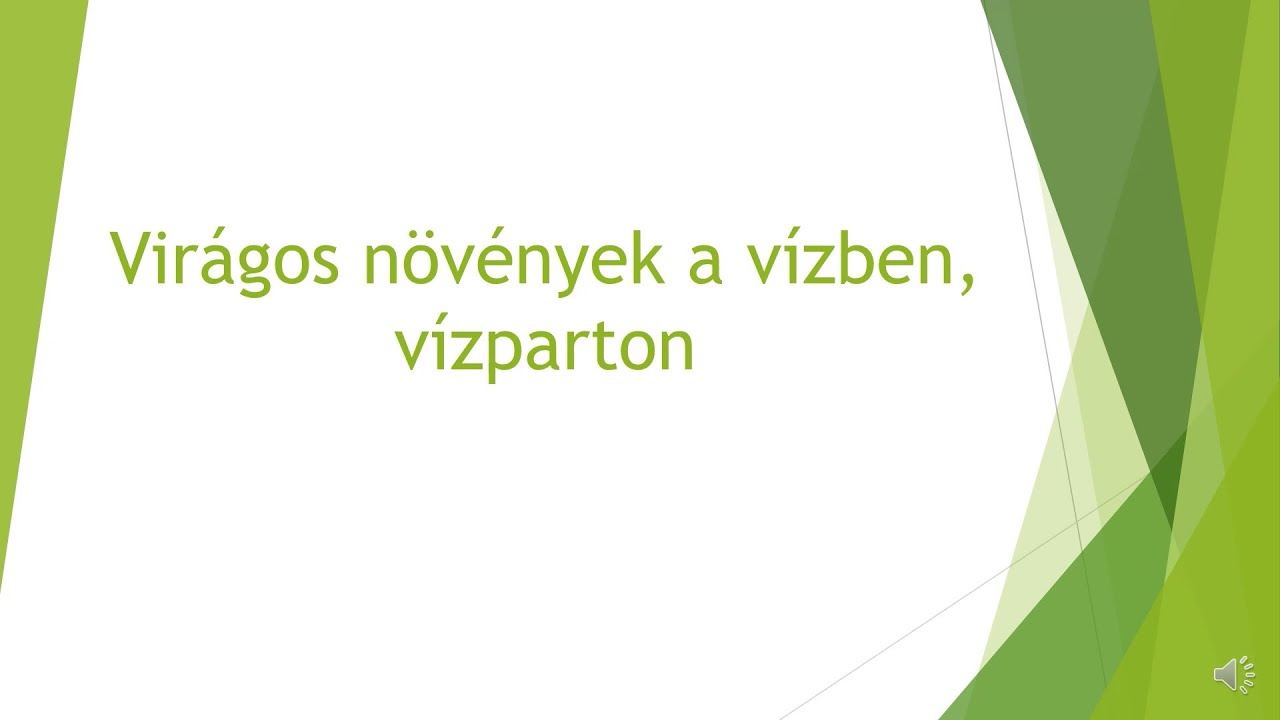 Virágos növények a vízben, vízparton