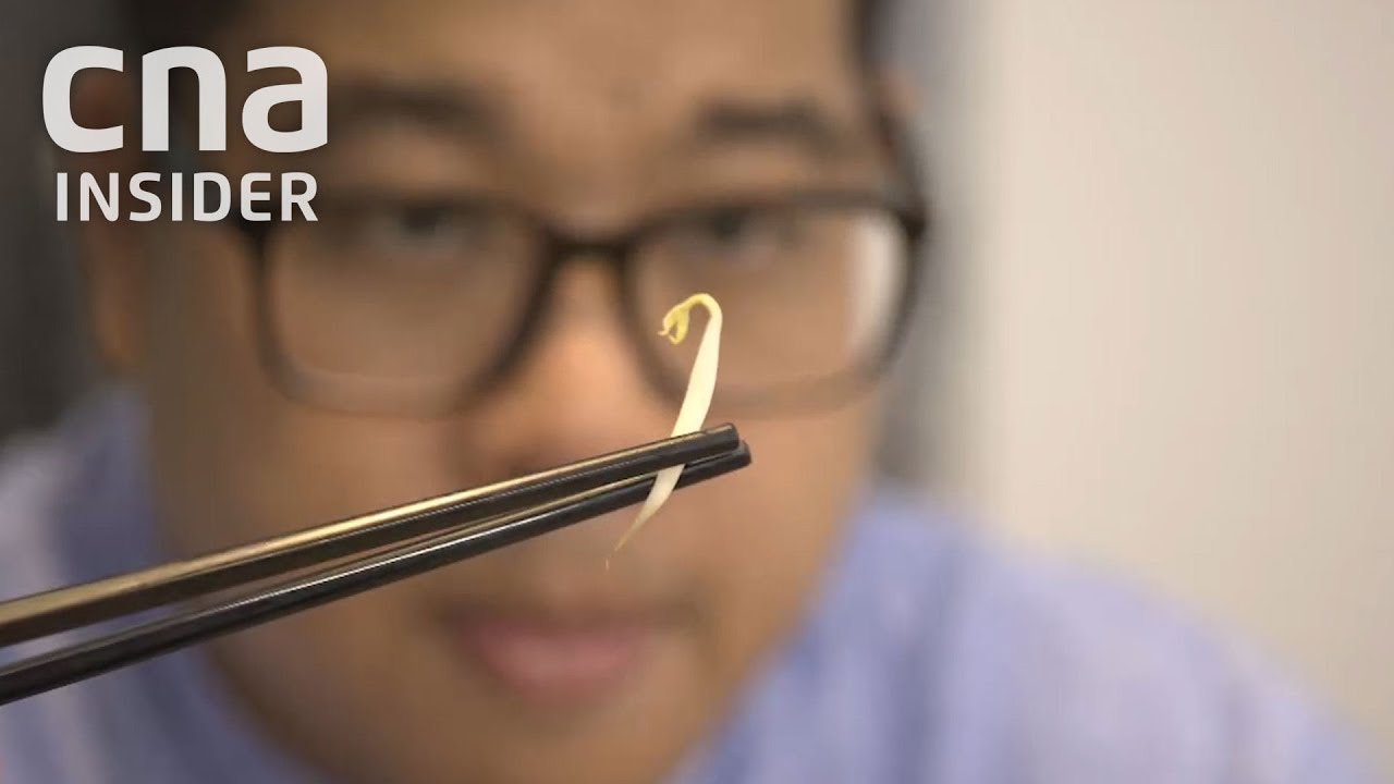 Why Are Beansprouts Getting More Expensive In Singapore?