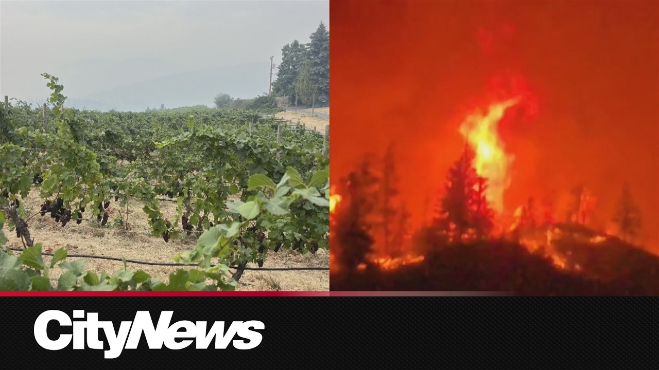 Bald Range Wildfire causing heavy financial toll for local businesses