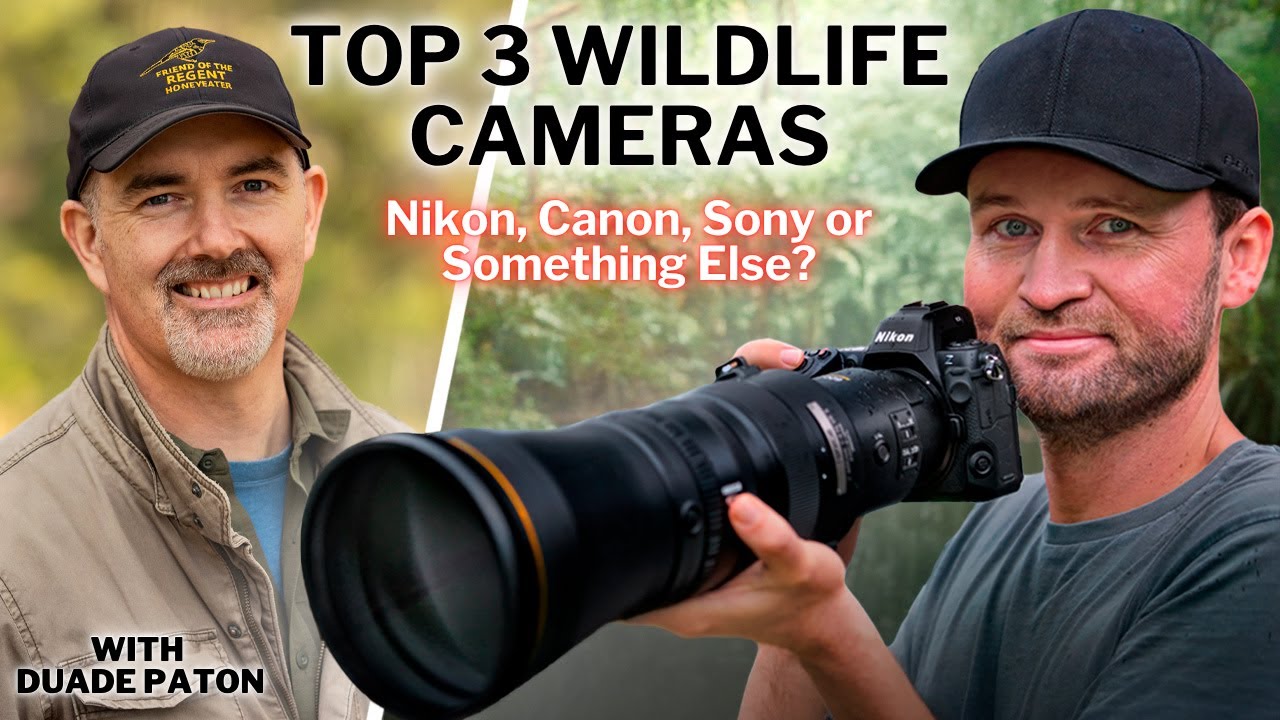 Top 3 Wildlife Cameras for 2025 & What To Stay Away From! | Hot Takes With Duade Paton
