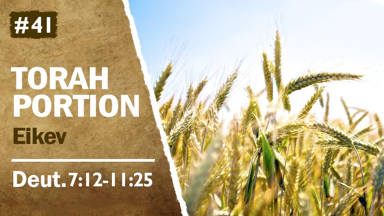 Torah Portion Eikev - Consequences of obedience, The 'Seven Species', The Blessings of God