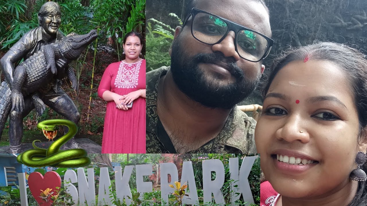 കണ്ണൂർ പറശ്ശിനിക്കടവിലെ പാമ്പുകേന്ദ്രം 🥰|Snake park in parassinikadav kannur|Snake world #snake