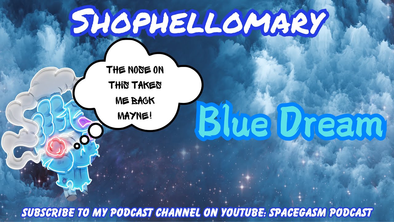 SHOPHELLOMARY THCA STRAIN REVIEW: Blue Dream (🫐🔥💨) Classic Nose!