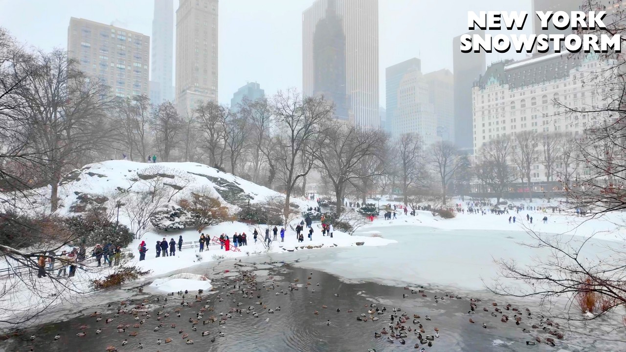 Historic NYC Snowstorm 2026 ❄️ | New York City&rsquo;s Biggest Blizzard in a Decade