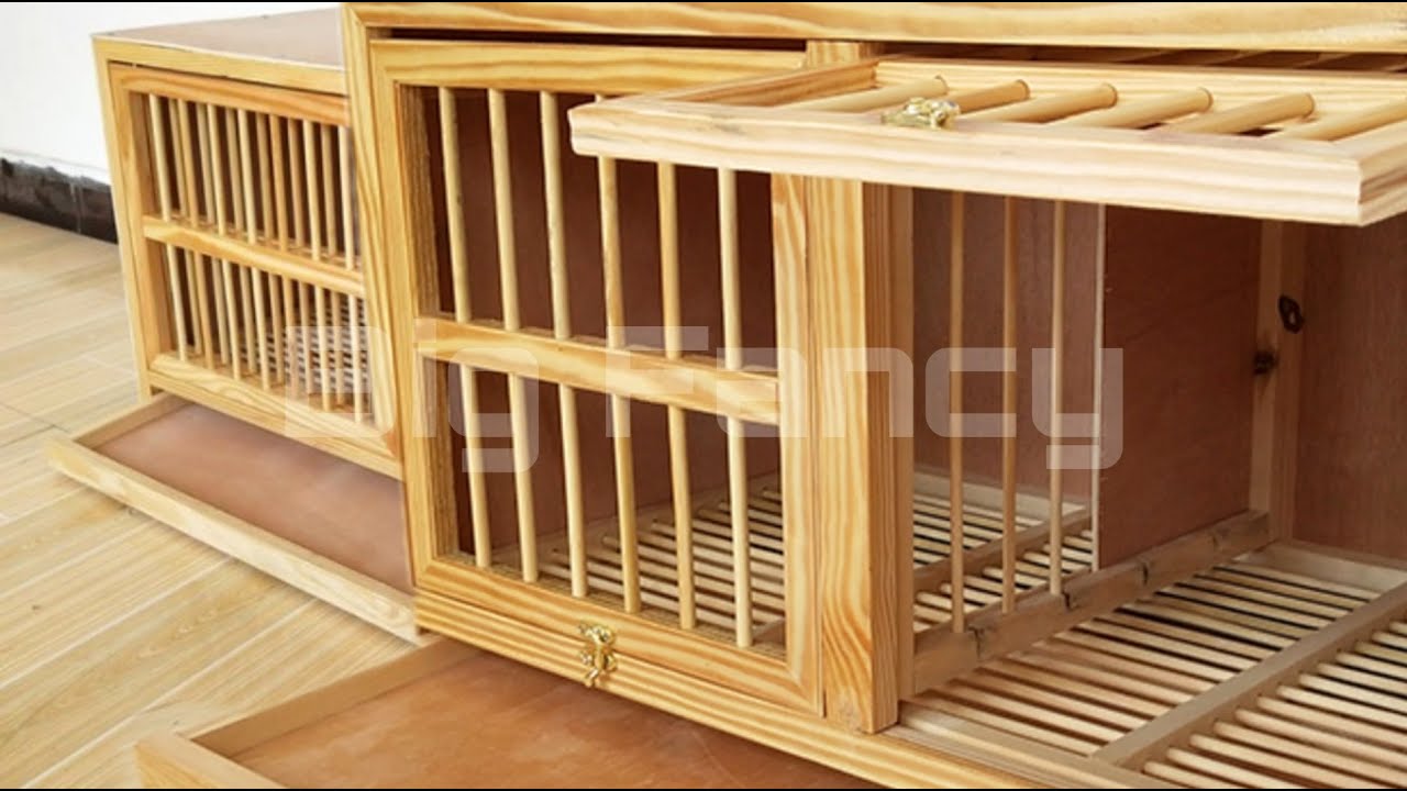 BEST Modern pigeon loft design - Pigeons breeding Coops  | most expensive pigeon breeder cages