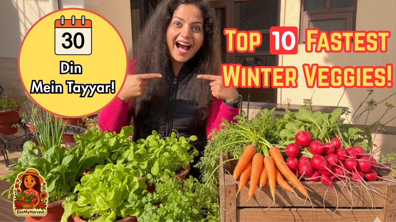 The 30-DAY HARVEST CHALLENGE! 🥬 10 Speedy Winter Vegetables for Your Garden