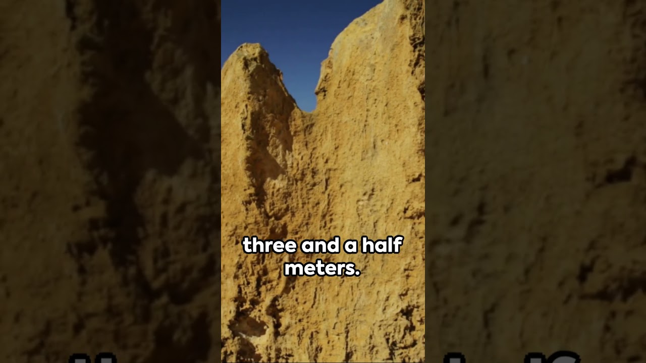 Pinnacles Desert  Australia's Hidden Gem