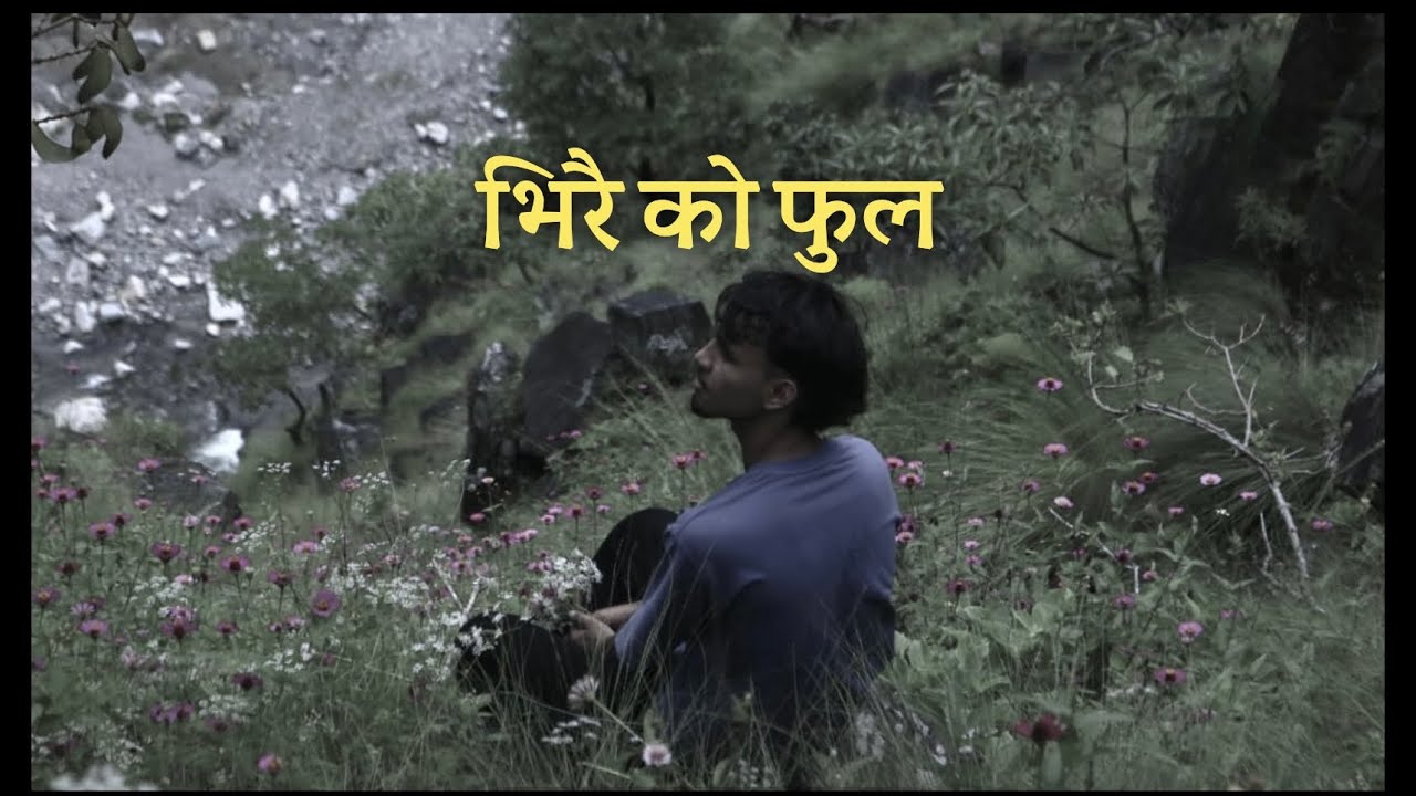Bhirai ko Fulaa ( भिरै को फुल ) - Suuugat