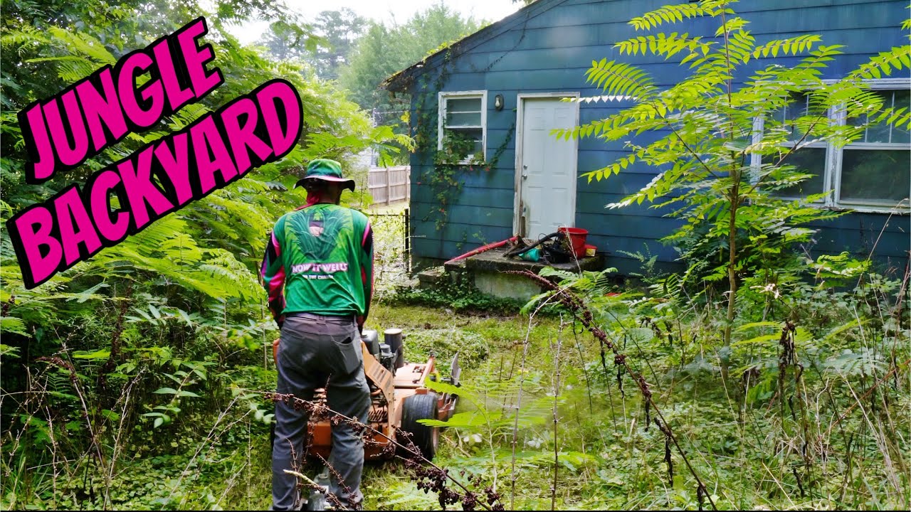 City Issues Overgrown Lawn Citation