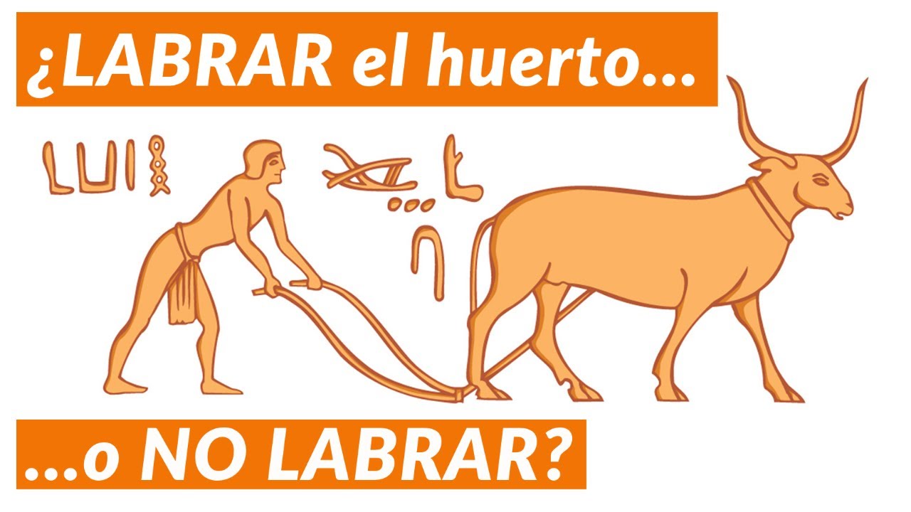 LABRAR? o NO LABRAR? 🤔  || ACABA con las dudas!!