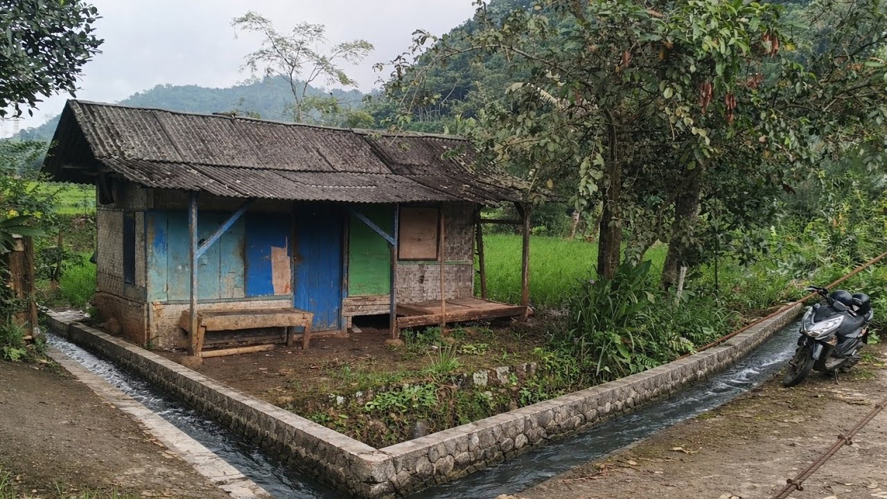 Hidup di desa.. Belum ada yang tau selain indah ada warung tengah Sawah bisa ngopi syahdu 