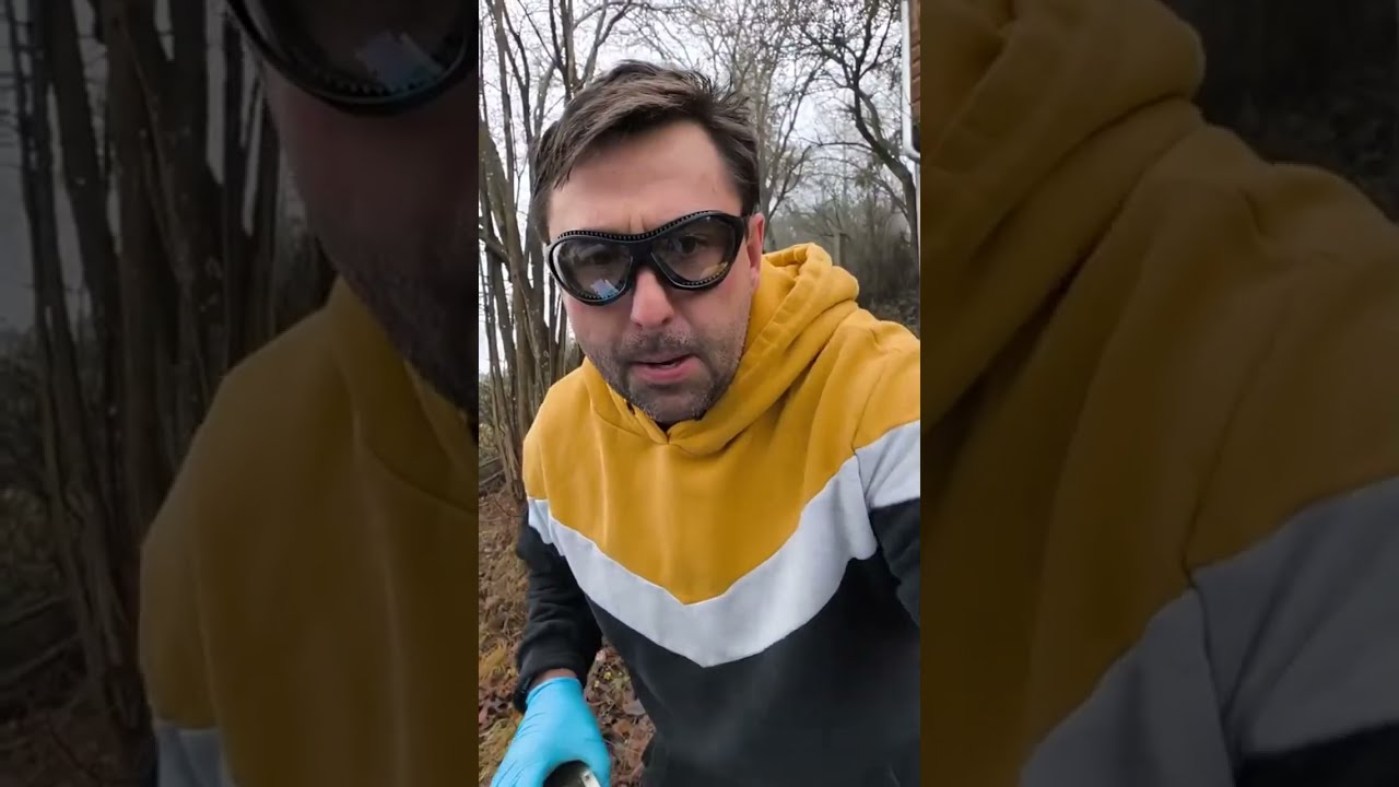 Varroa Behandlung live brutales Bienenvolk neue betriebsweise 