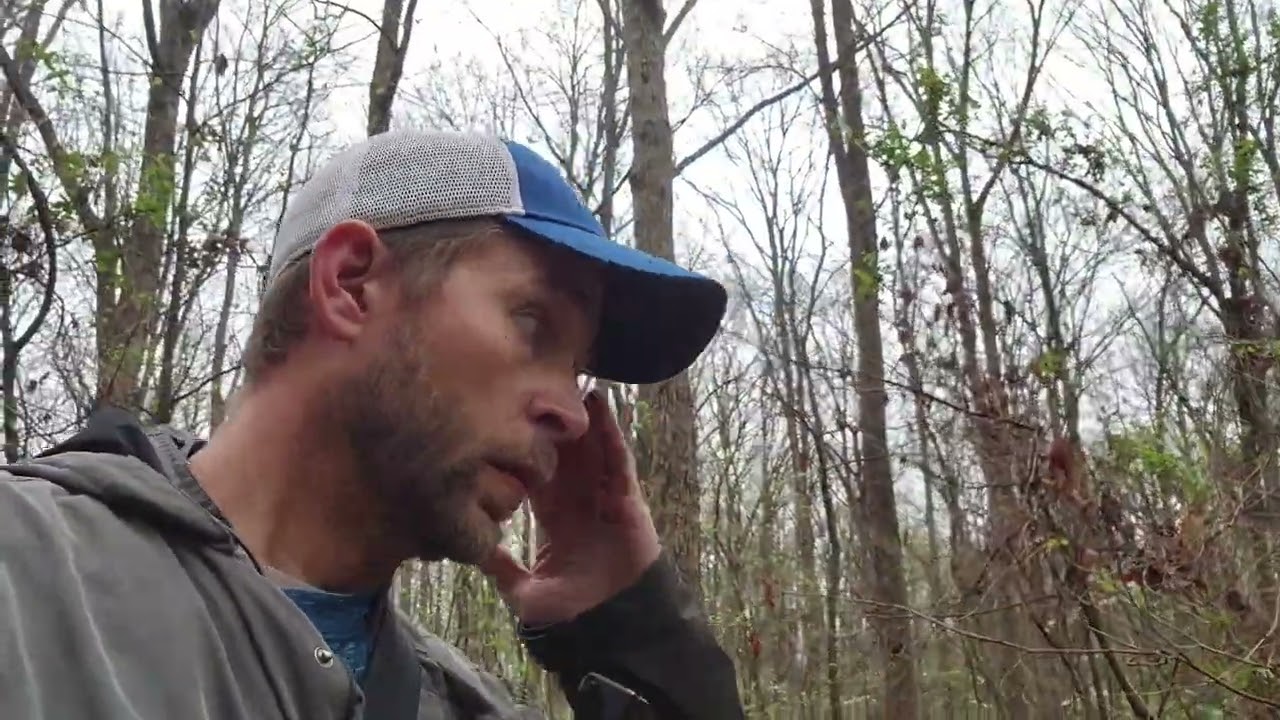 Morel mushroom hunting tips 4.11.24