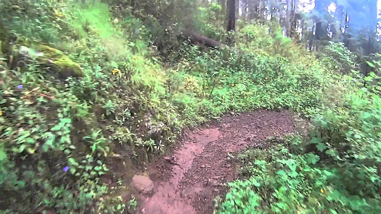 MTB Hidalgo Balam