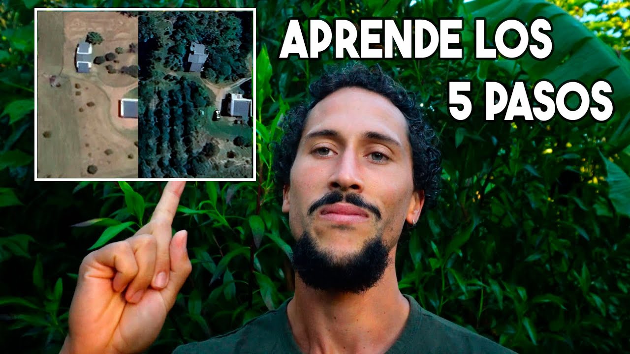 5 PASOS CLAVE para COMENZAR/MEJORAR tu BOSQUE DE ALIMENTOS - Permacultura & Sintropía