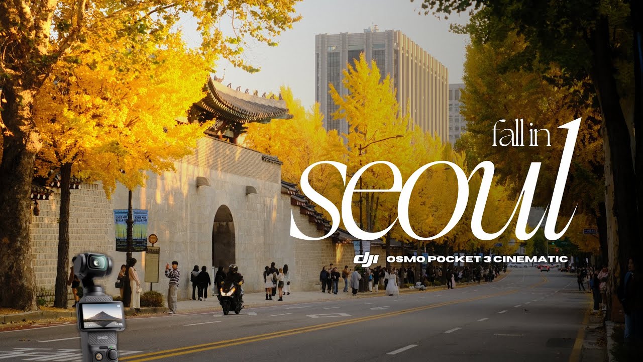 Fall Colours in Seoul || DJI Osmo Pocket 3 Cinematic [+Fujifilm Velvia Recipe]