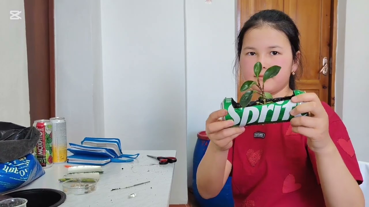 Табиғатты аяла. EcoCraft номинациясы 