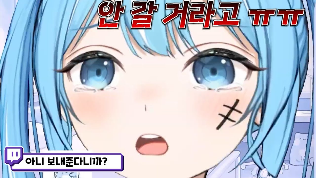 타비야 보내준다니까 왜 안 가?