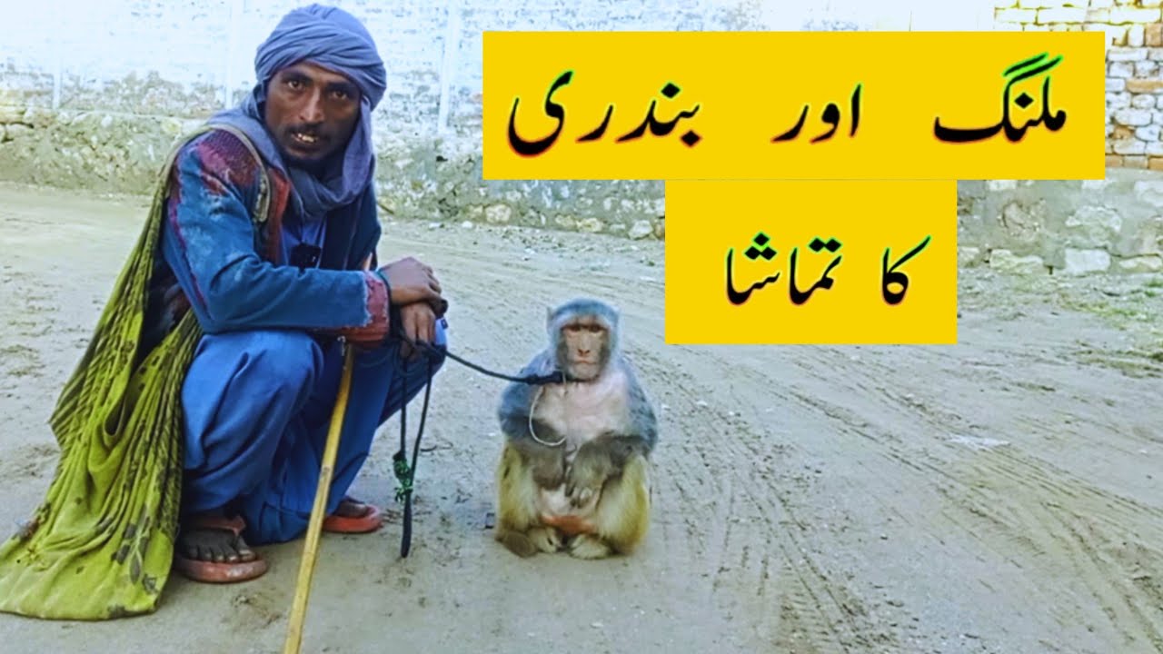 Malang and his monkey ||  ملنگ اور بندری کا تماشا 
